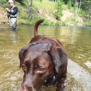 Meet your Posher, Tyler